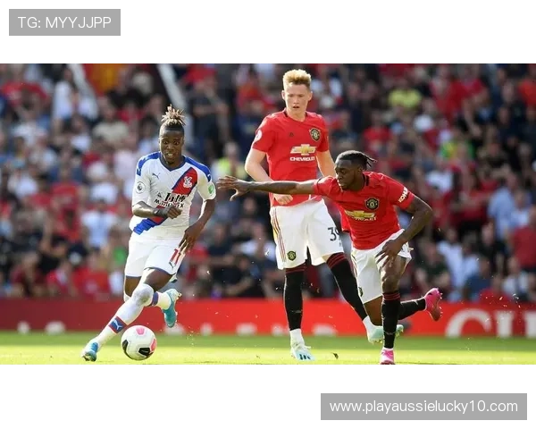 布莱顿球迷信托基金助力加强球迷参与俱乐部治理与决策 布莱顿球迷信托基金助力加强球迷参与俱乐部治理与决策